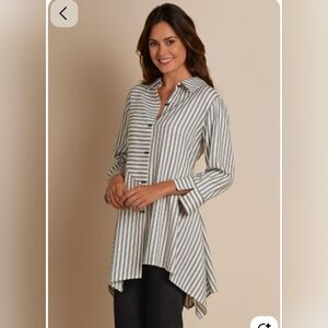 Soft Surroundings Standout Striped Cotton Blend Button Down Tunic